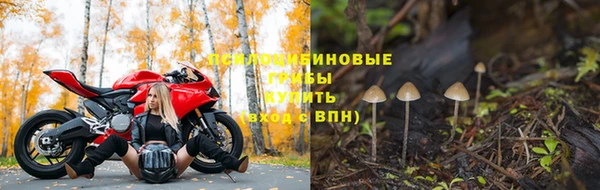 ПСИЛОЦИБИНОВЫЕ ГРИБЫ Иннополис