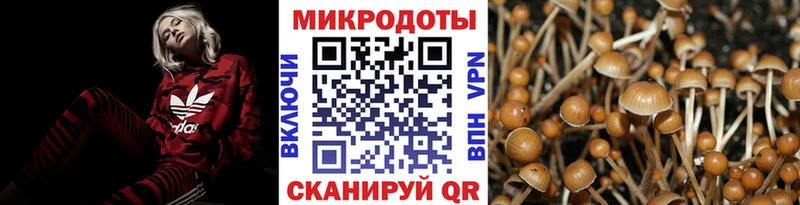 Псилоцибиновые грибы Magic Shrooms  Купить где  Иланский 